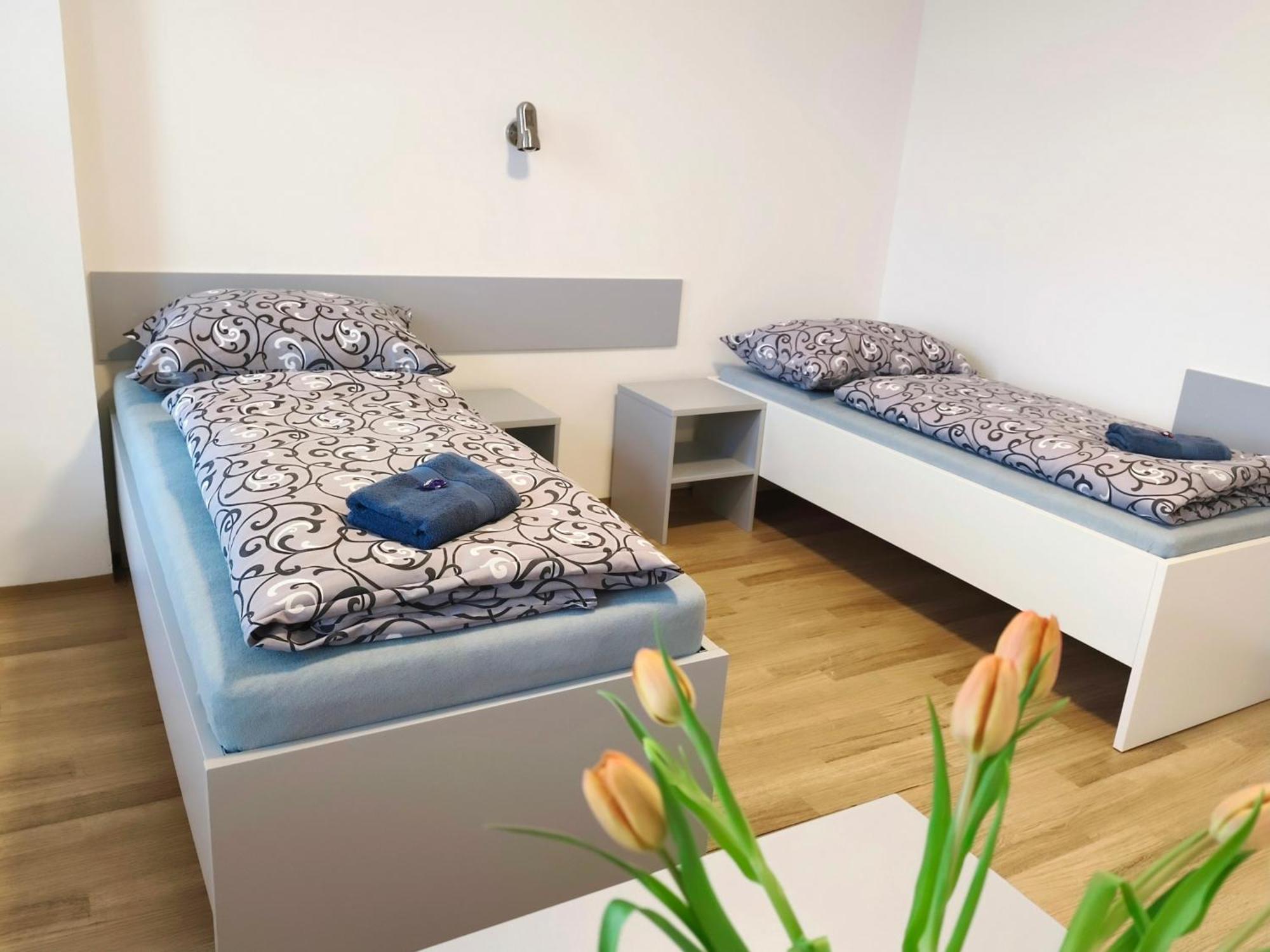 Auberge de jeunesse A Oaza